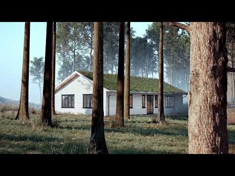 Loading video