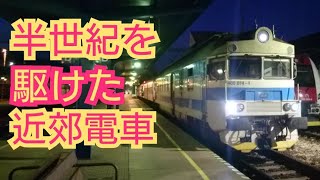 【絶滅危惧種！？】古風なデザインの近郊電車による国際普通列車