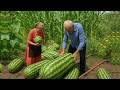 Sweet Grandma LIVE Peaceful Azerbaijan Mountain Village Cooking Wood Fire