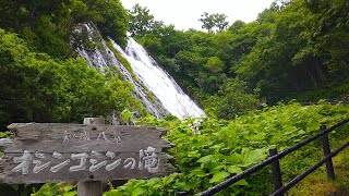 Japan Walk - Oshinkoshin WaterFall