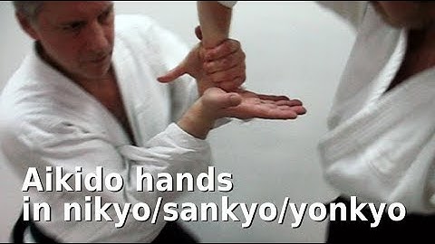 Aikido hand movements in NIKYO, SANKYO, and YONKYO, by Stefan Stenudd in 2009