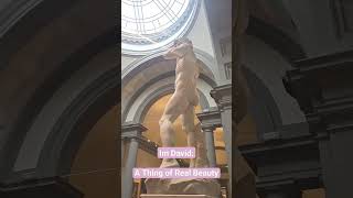 Statue of David: Accademia Gallery, #Florence #Italy : A thing of Beauty #sculpture #art