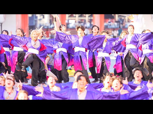 4K] 京炎 そでふれ！彩京前線 【決勝演舞】 京都学生祭典 2024 (中央