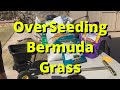 Overseeding Bermuda Grass