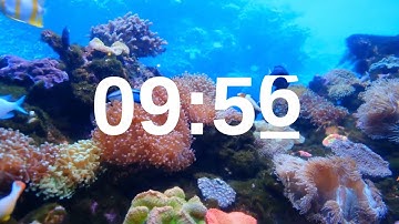 10 Minute Timer Relaxing Music Lofi Fish Background