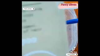 Làm Slime Trong Không Cần Keo Fenny Slimes