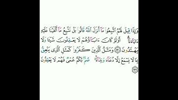 2 - سورة البقرة ١٧٠-١٧١ - مشاري بن راشد العفاسي