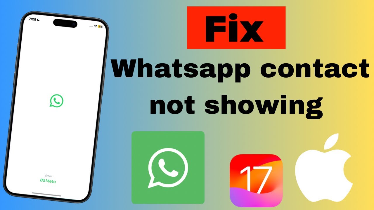How to Fix Contacts Not Showing in WhatsApp On iPhone 2024 YouTube