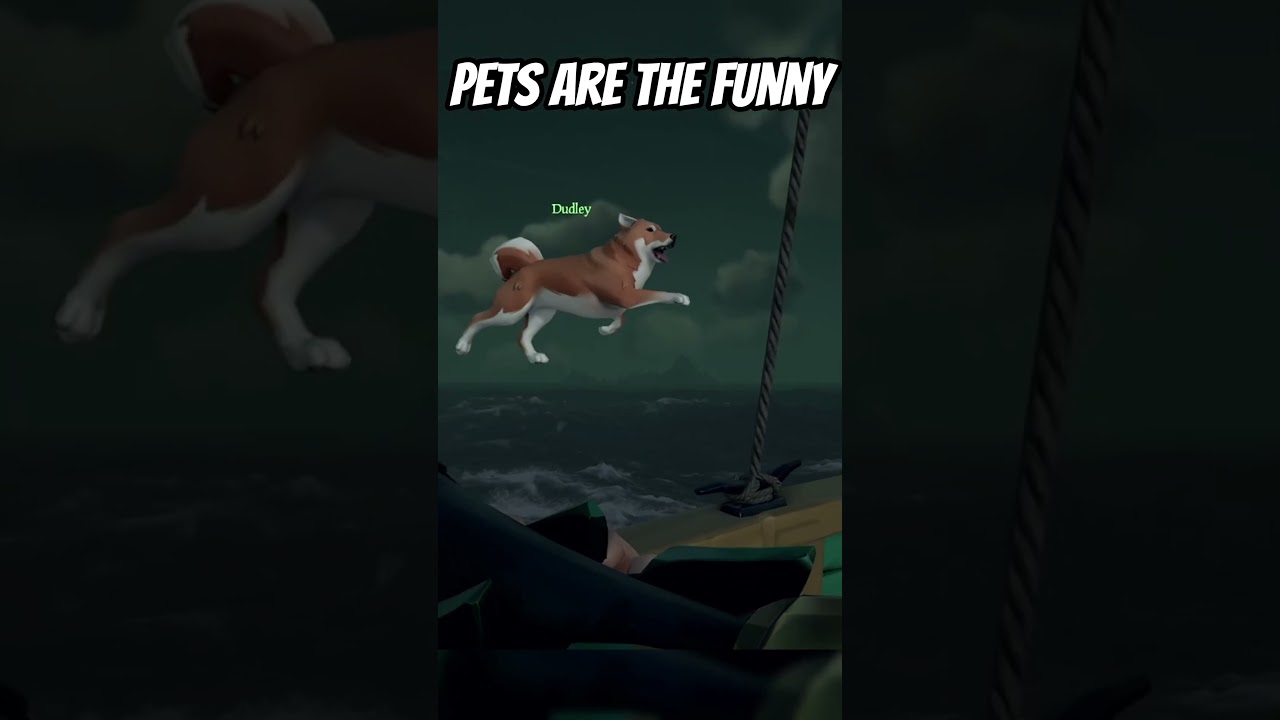Sea of Thieves Pets are a Little Buggy 😆 