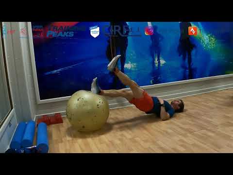 Gym ball single leg reverse plank