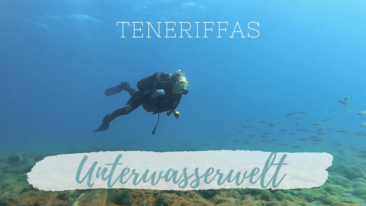 Ep. 40 | Wir entdecken die Unterwasserwelt und eine Geisterstadt von Teneriffa -Blue Horizon-
