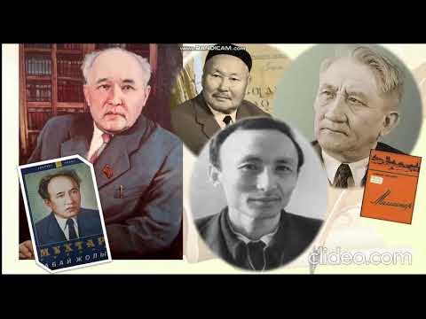 Қара қожайынға бет ситу