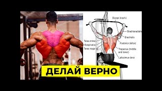 видео: Мышцы Спины - Ширина или Толщина - Тяга в Наклоне или Подтягивания. Узкий или Широкий Хват картинка: Мышцы Спины - Ширина или Толщина - Тяга в Наклоне или Подтягивания. Узкий или Широкий Хват