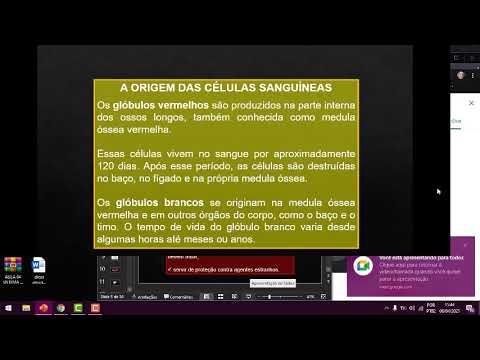 AULA 05 CLINICA MDICA   Prof Hiohanna Melo