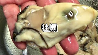 【ジャンボ広島かき２Lサイズ１㎏】牡蠣好きが選んだ絶品お取り寄せ冷凍カキ 【vlog】解凍してカキフライを作る