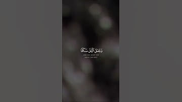 #تلاوة_خاشعة #القرآن_الكريم #تلاوات #قرآن #تلاوة #quran #القرآن #آيات #قران_كريم #تلاوة_خاشعة