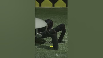 Scorpions Inspire Next-Gen Robot Sensors! #chinascientist #sciencefather #science #fact