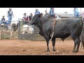 4º Torneio de Rodeio Cia Gato Preto 2018 (Avaré-SP)