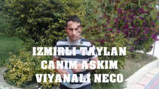 Izmirli Taylan Canim Askim By Winec