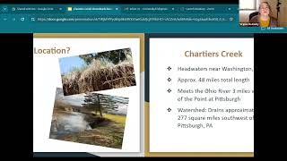 Erosion and Stormwater Issues