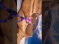 Fortnite x avatar the last airbender update