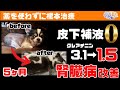 【根本治療/うそほん】クレアチニン3.1から1.5！皮下補液をゼロにし腎臓病改善