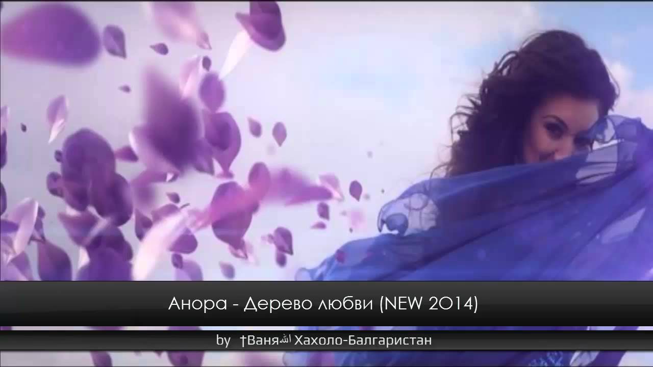 анора дерево любви скачать Анора дерево любви youtube.