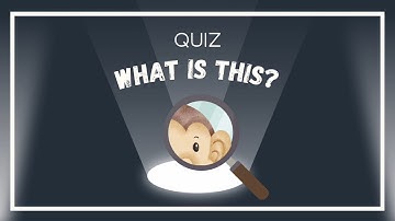 Zoomed-In Picture Puzzles | Can You Guess The Object Game? | Guess the Zoomed in Image! Picture game