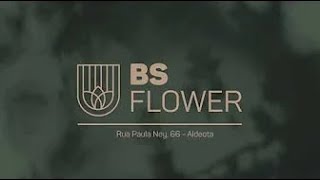 BS Flower | BSPAR - Acompanhamento de Obra Junho 2023