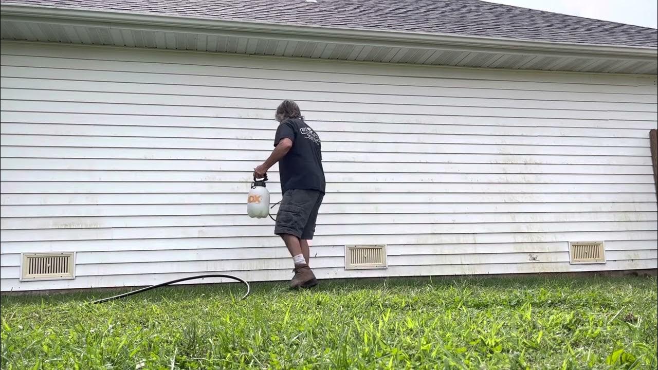 How to remove mold and algae from your Vinyl siding on your house YouTube