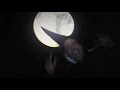 Q-BASE 2009 - Official After Movie