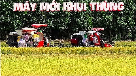 Cảnh máy cắt yanmar YH850 mới khui thùng mới chát gặt cùng AW82 tốc độ rice reaper