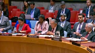 Amb Munir Akram delivers statement at the UNSC on Non-Proliferation/DPRK. Jan 08, 2025