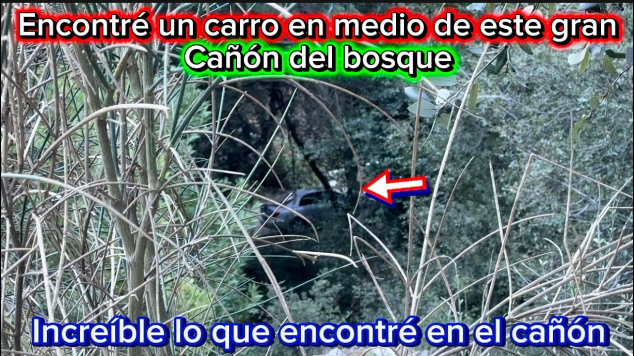 Personas corrieron y lo que encontré en este gran cañón