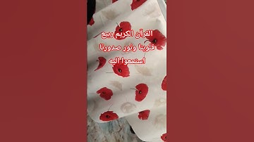 القرآن الكريم ربيع قلوبنا ونور صدورنا #المصحف