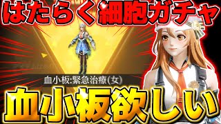 【荒野行動】はたらく細胞コラボの衣装｢血小板｣が欲しすぎてガチャを引いた結果まさかの…wwwww