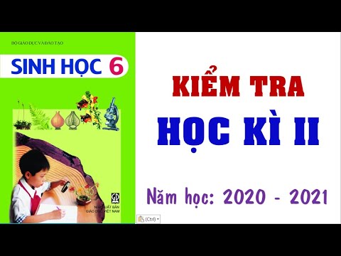 💦Bộ đề kiểm tra học kì 2 SINH HỌC lớp 6 - Giải chi tiết💗