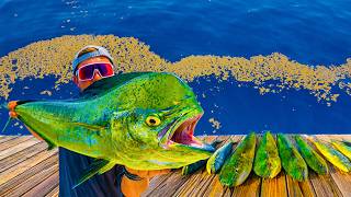 The Reality Of Deep Sea Fishing | Mahi Fishing | Boca Raton Fishing