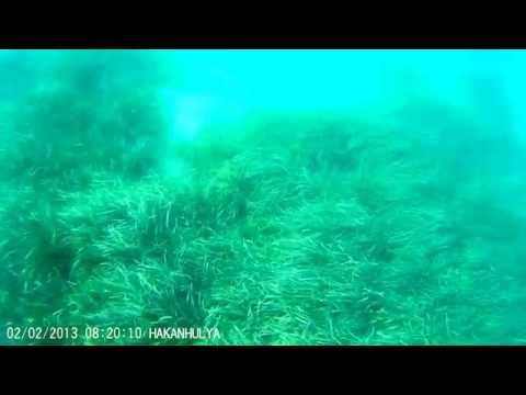 ÇEŞME DALYAN KOYU
