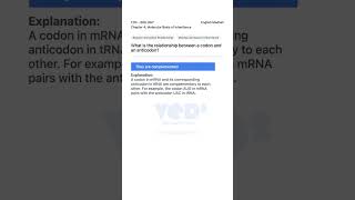 Codon Anticodon Relationship Molecular Basis of Inheritance Biology 12th