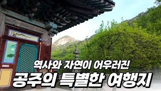 ✔ 동학사 영상