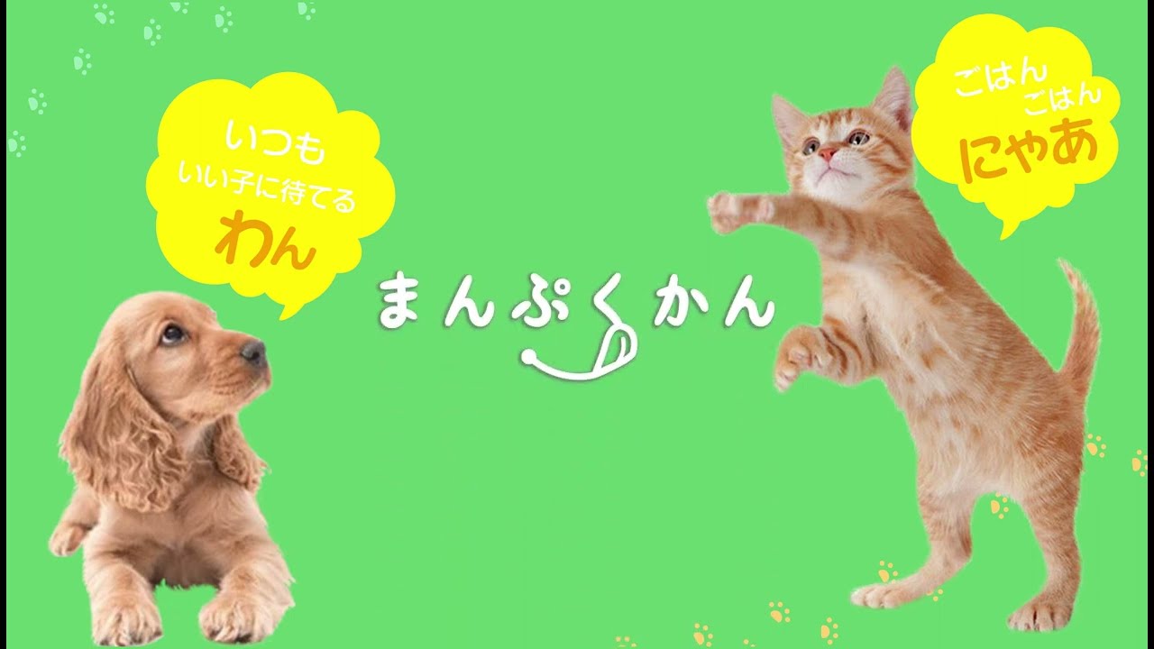 ワンちゃん！猫ちゃん！におススメ！まんぷくかん 可愛いペットに