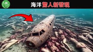沉入深海3700米下的飛行器殘骸，周圍的屍體真的是人類嗎？ 這架水下無人機拍攝到的東西讓全世界震驚..！！# 冷知識#排名#世界最top#地球之最#top10#世界之最top#海洋發現