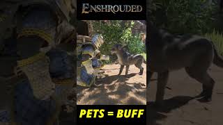 ANIMALS GIVING BUFFS! | Enshrouded News
News and updates on the survival game Enshrouded.
🙂Join my Servers: https://www.patreon.com/GamingWithKristi
😎Join my Discord: https://discord.gg/jSamDbp33T
🌏Valheim Server Hosting: https://hostez.io/valheim 💲Code KRISTI to get 20% off!💲
💜 Support the stream: https://streamlabs.com/kristisbeach
🙏Join my channel members to get access to perks:
https://www.youtube.com/channel/UCkGQ8ft2QP1k8Qqsg0XrRdA/join
Find me on:
Discord - https://discord.gg/jSamDbp33T
Twitter - https://twitter.com/GamingwKristi
Reddit - https://www.reddit.com/user/kristisbeach
Check the channel #live-streams in my Discord for chat commands that you can use and play along!
Other vids you may like:
Enshrouded:
- Teleport Out of Shroud: https://youtu.be/5uVfVt9o7r0
- Best WEAPON within MINUTES of Starting: https://youtu.be/QPR56o3-8ho
- First Look Gameplay: https://www.youtube.com/watch?v=kTNLWpjO8HI&t=7s
- Community Server Lets Play: https://youtu.be/p7gC9Jy7d4M?si=11hgyNWtWcSWnOVm
- Fighting for Grave Retrieval: https://www.youtube.com/watch?v=wDwxynL2avA
Bellwright:
- Complete PRIORITIES Guide: https://youtu.be/4DWms3siEfQ
Valheim:
- Custom Roofs that are Water Tight: https://www.youtube.com/watch?v=856hrwynXxU&list=PLJI1hO3_C6uYqc7QZe0P_1KM8pTzpXftw&index=2
- Decorate Like A Pro: https://youtu.be/cI0awROMW44
- Invisible Builds: https://youtu.be/oU97u9GYsW4
- Boat Unstuck: https://youtu.be/UY-w3e1T M
Nightingale:
- What makes this game different? https://youtu.be/WRnPSN_KBHI
- Stress Test Live https://youtube.com/live/MMvl1l8cPUE
Enshrouded is a game of survival, crafting, and Action RPG combat, set within a sprawling voxel-based continent. As you journey across the mountains and deserts of an open world, you are free to choose your path and shape your destiny.
#enshrouded
Enshrouded Creator Program https://lurk.ly/ARdDbw ANIMALS GIVING BUFFS! | Enshrouded News