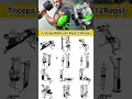 Day-30/most effective Triceps Exercise 🔥 #bodybuilding #motivation #fitness