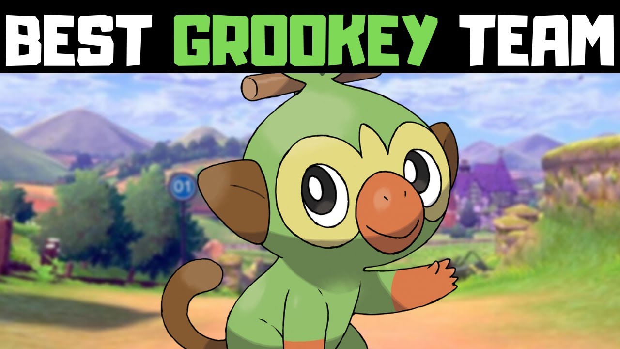 What is the Best Grookey Team in Pokemon Sword and Shield? YouTube