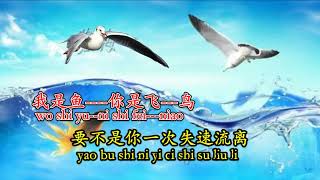 fei niao yu yu 飞鸟与鱼 齐豫演唱