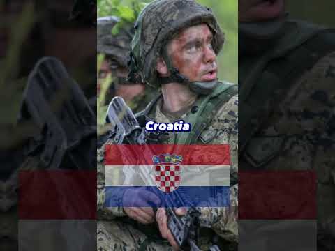Video: NATO militär-politisk allians: lista över länder