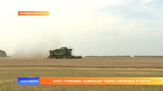 МАПО «Торбеево» завершает уборку зерновых культур