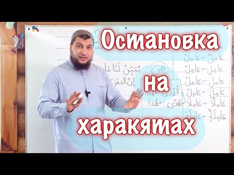 Видео: Тартуфф хаана явагддаг вэ?